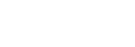 11i11 Logo White